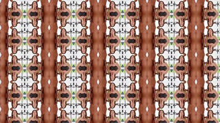 Workout Oiled LaSirena69 Interracial Hardcore Face Fuck Doggystyle Deepthroat Bubble Butt Boobs GIF